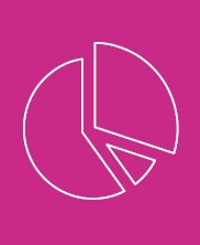 Pie chart icon