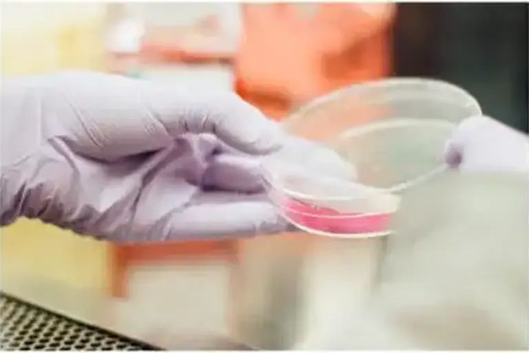 Close up of a the hand of a scientist holding a petri dish