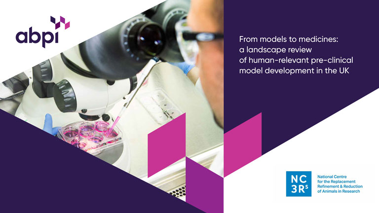 A Landscape Review Of Human Relevant Pre Clinical Model Development In The UK