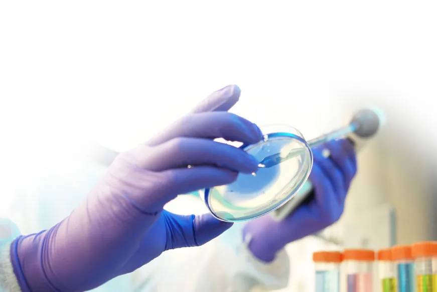 Boost UK manufacturing to attract £15 billion new investment, says medicines manufacturing alliance